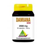 damiana extract 2500mg puur @