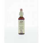 Impatiens / reuzebalsemien