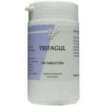 Trifagul