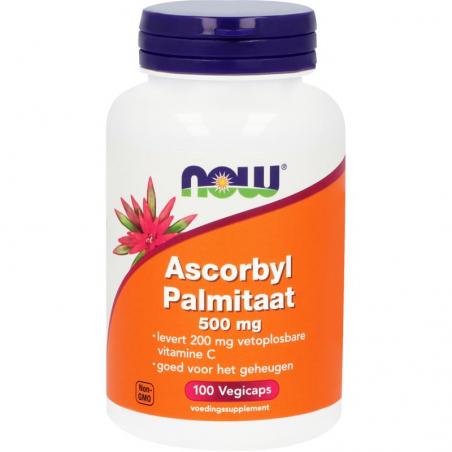 Ascorbyl palmitaat 500 mg