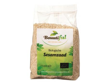 Sesamzaad bio