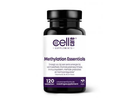 Methylation essentials