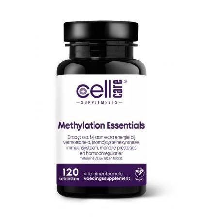 Methylation essentials