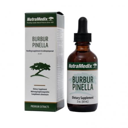 Burbur pinella