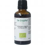 Artemisia vulgaris herb / bijvoet tinctuur bio