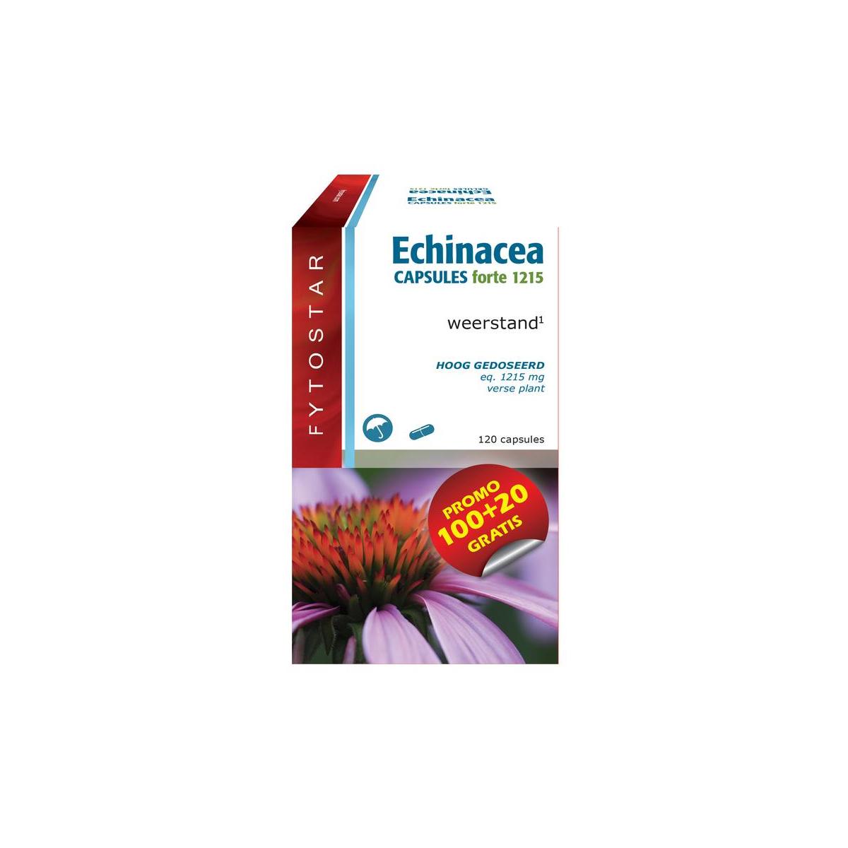 Echinacea forte 1215 maxi