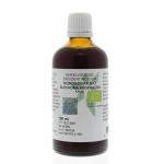 Glechoma hederacea / hondsdraf tinctuur