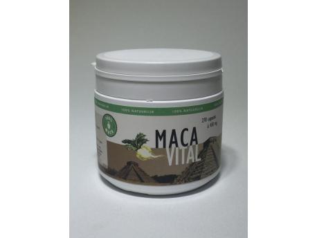 Maca