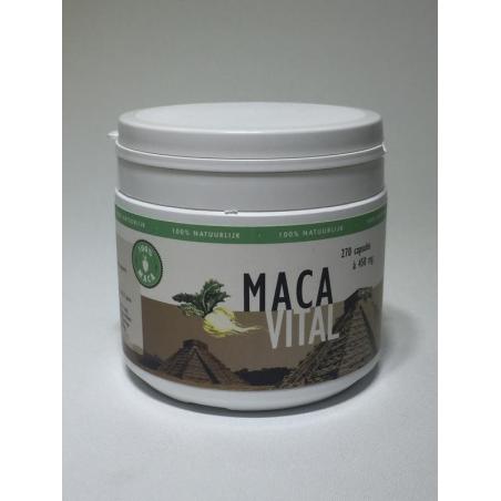 Maca