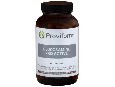 glucosamine pro active