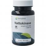 Nattokinase