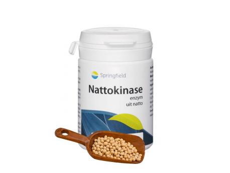 Nattokinase