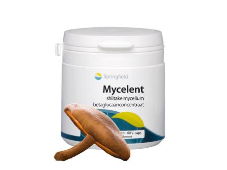 mycelent shiitake-mycellium