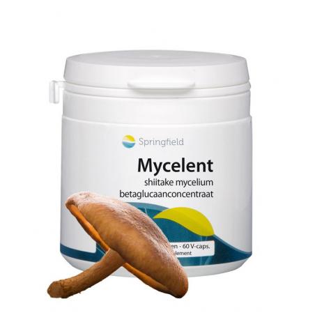 mycelent shiitake-mycellium