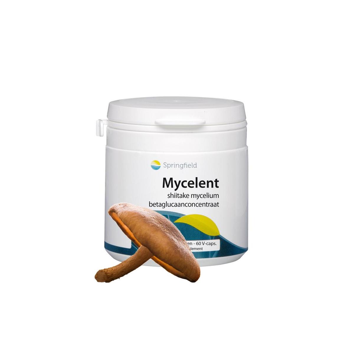 mycelent shiitake-mycellium