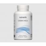 Cerebro mega 60cap