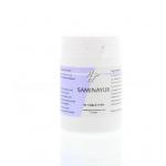 Saminayur