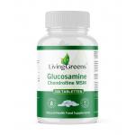 glucosamine chondroitine msm