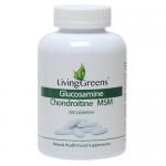 glucosamine chondroitine msm
