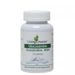 glucosamine chondroitine msm