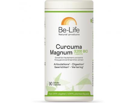 Curcuma magnum 3200 + piperine bio