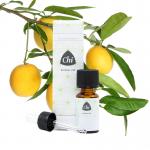 citroen petitgrain wild CHI