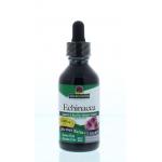 Echinacea extract 1:1...