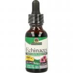 Echinacea extract 1:1...