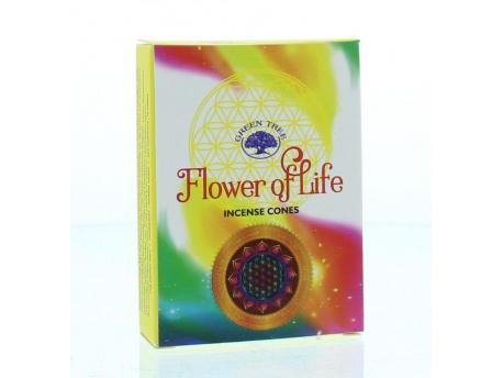 Kegelwierook flower of life