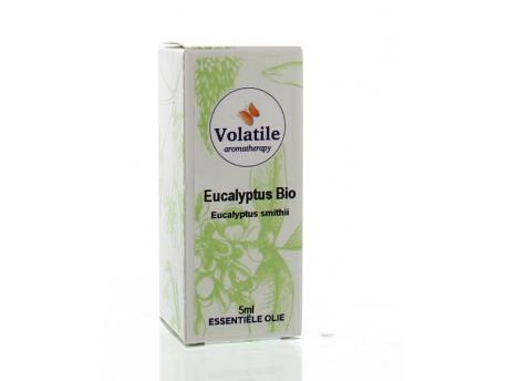 Eucalyptus smithii bio