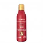 Color Fixation Shampoo