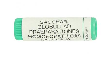 Saccharum officinalis / placebo