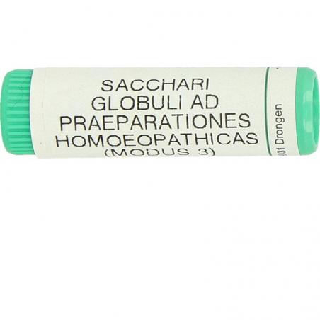 Saccharum officinalis / placebo