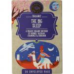 The big sleep bio