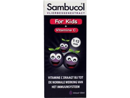 Vlierbessensiroop for kids