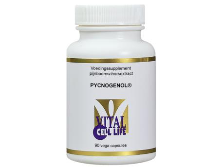 Pycnogenol