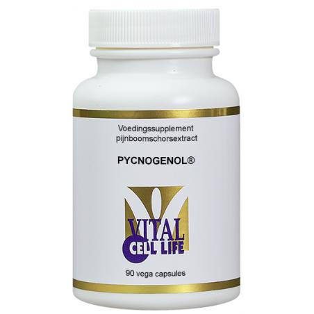 Pycnogenol