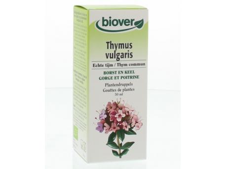 Thymus vulgaris