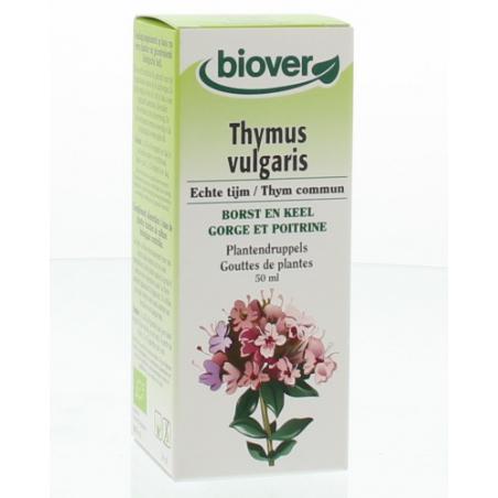 Thymus vulgaris