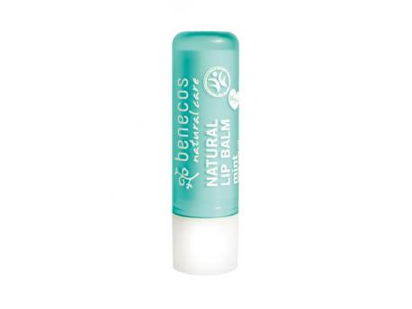 Lipbalm mint bio vegan