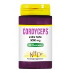 cordyceps forte 5000mg