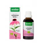 echinacea forte Purasana