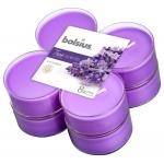 True Scents maxilicht lavendel