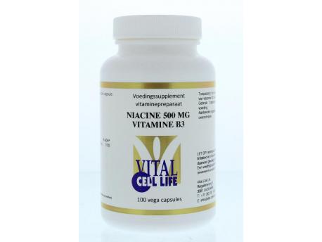 geleider zingen Discipline Vital Cell Life Vitamine B3 niacine 500 mg - Easy ordering!
