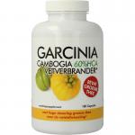 garcinia cambogia