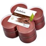 Maxilicht true scents oud wood