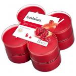 Maxilicht true scents...