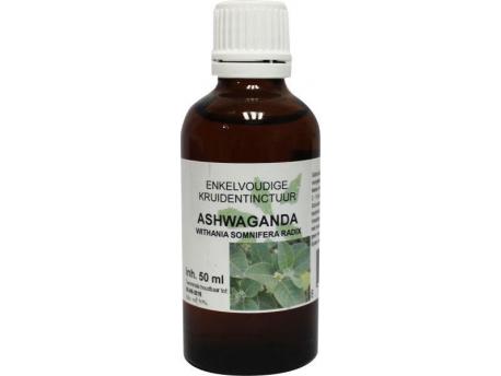 Withania somnifera / ashwagandha