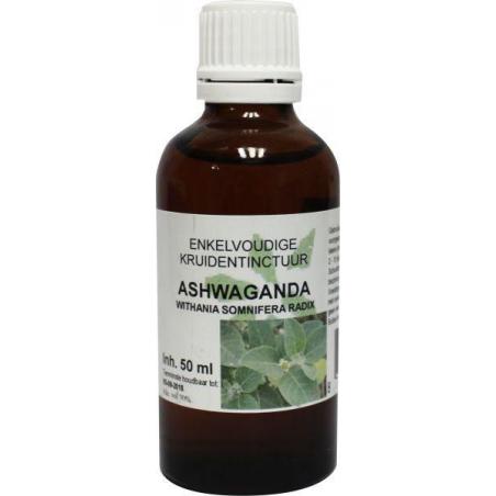Withania somnifera / ashwagandha