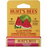 Lipbalm watermelon blister